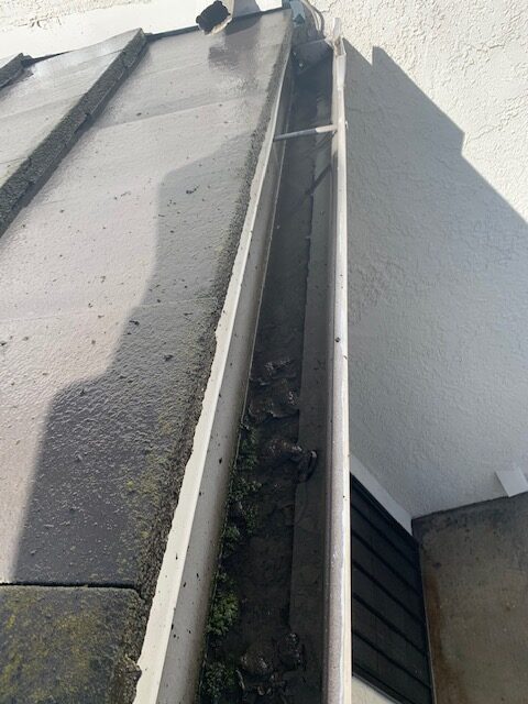 Rain Gutter - Before Cleaning 2